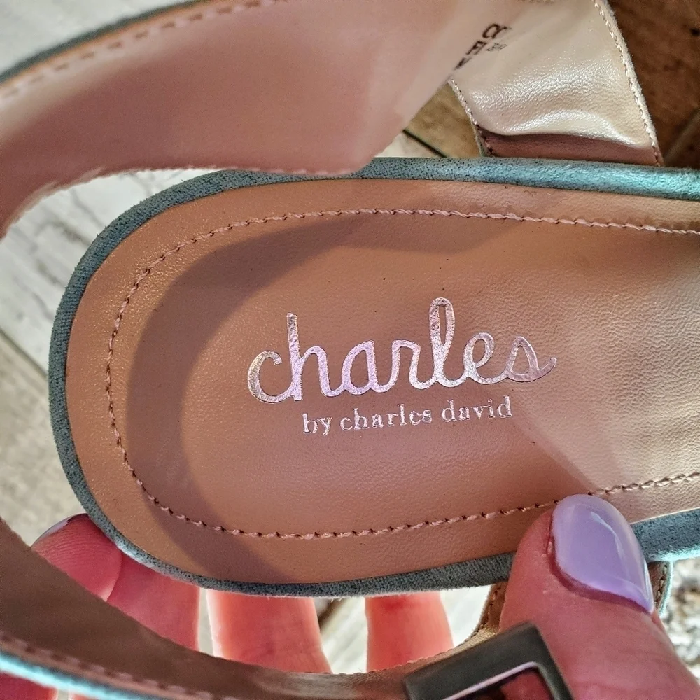 Charles by Charles David Lainey Wedge Sandals Size 10M EUC